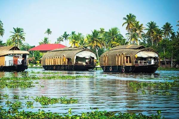 Marari Beach Cleetus Homestay Mararikulam Buitenkant foto