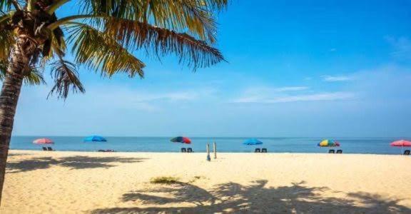 Marari Beach Cleetus Homestay Mararikulam Buitenkant foto